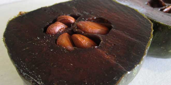 zapote-negro-chocolate