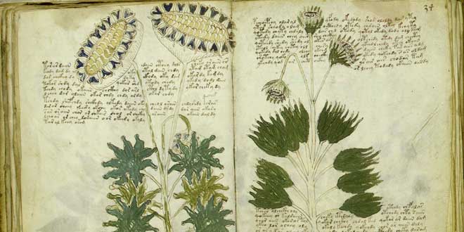manuscrito-Voynich