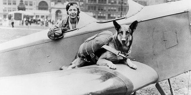 perros-paracaidistas