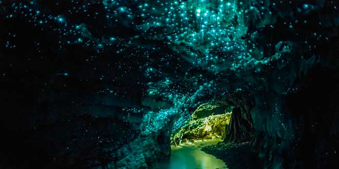Cuevas de Waitomo, Nueva Zelanda